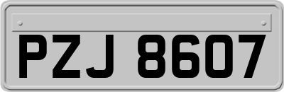 PZJ8607