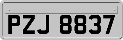 PZJ8837