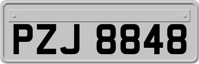 PZJ8848