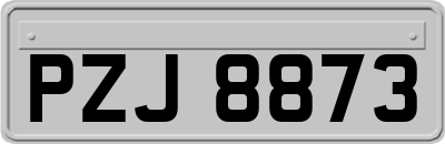 PZJ8873