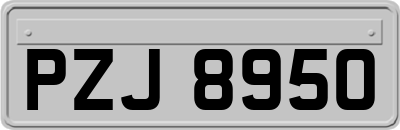 PZJ8950