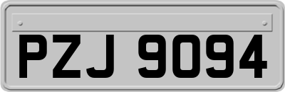 PZJ9094