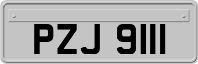 PZJ9111