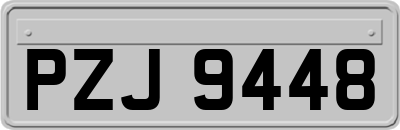 PZJ9448