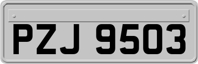 PZJ9503