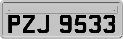 PZJ9533