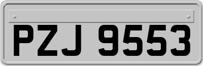 PZJ9553