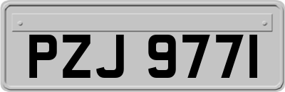 PZJ9771