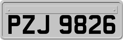 PZJ9826