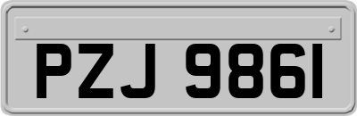 PZJ9861