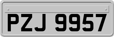 PZJ9957