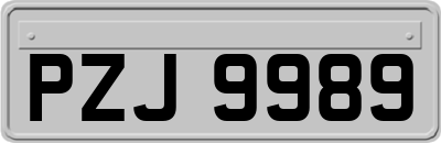 PZJ9989