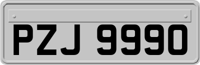 PZJ9990