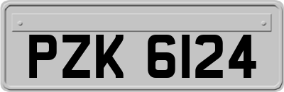 PZK6124