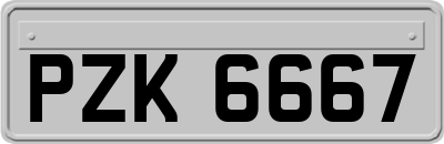PZK6667