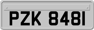 PZK8481