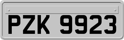 PZK9923