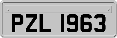 PZL1963