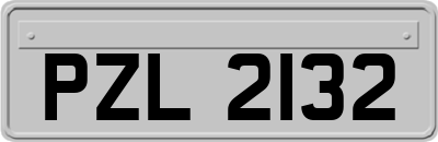 PZL2132