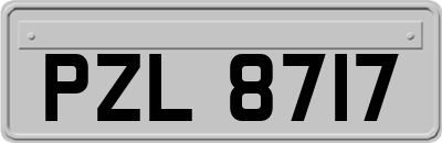 PZL8717