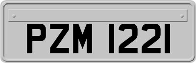 PZM1221