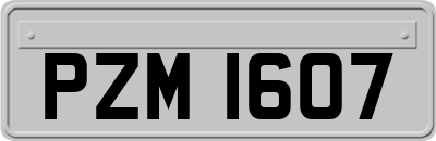 PZM1607