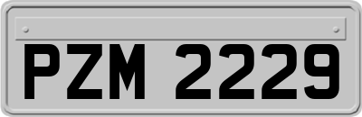 PZM2229