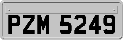 PZM5249