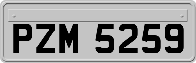 PZM5259