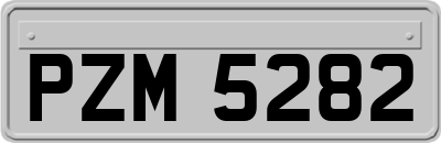 PZM5282