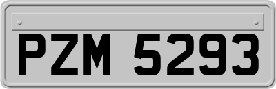 PZM5293