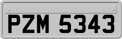 PZM5343