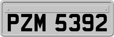 PZM5392