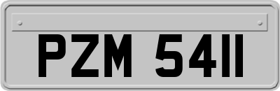 PZM5411