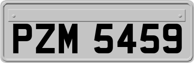 PZM5459