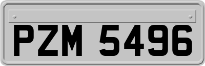 PZM5496