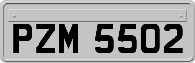 PZM5502