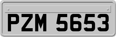 PZM5653