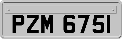 PZM6751