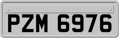 PZM6976