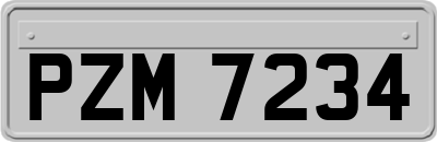 PZM7234