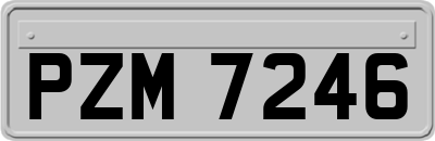 PZM7246