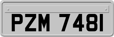 PZM7481