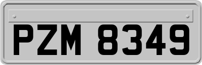 PZM8349