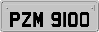PZM9100