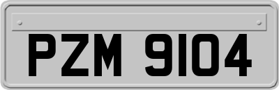 PZM9104