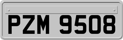 PZM9508