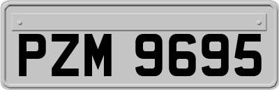 PZM9695