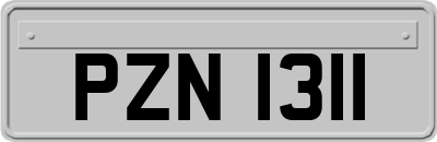 PZN1311