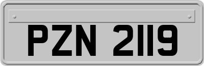 PZN2119